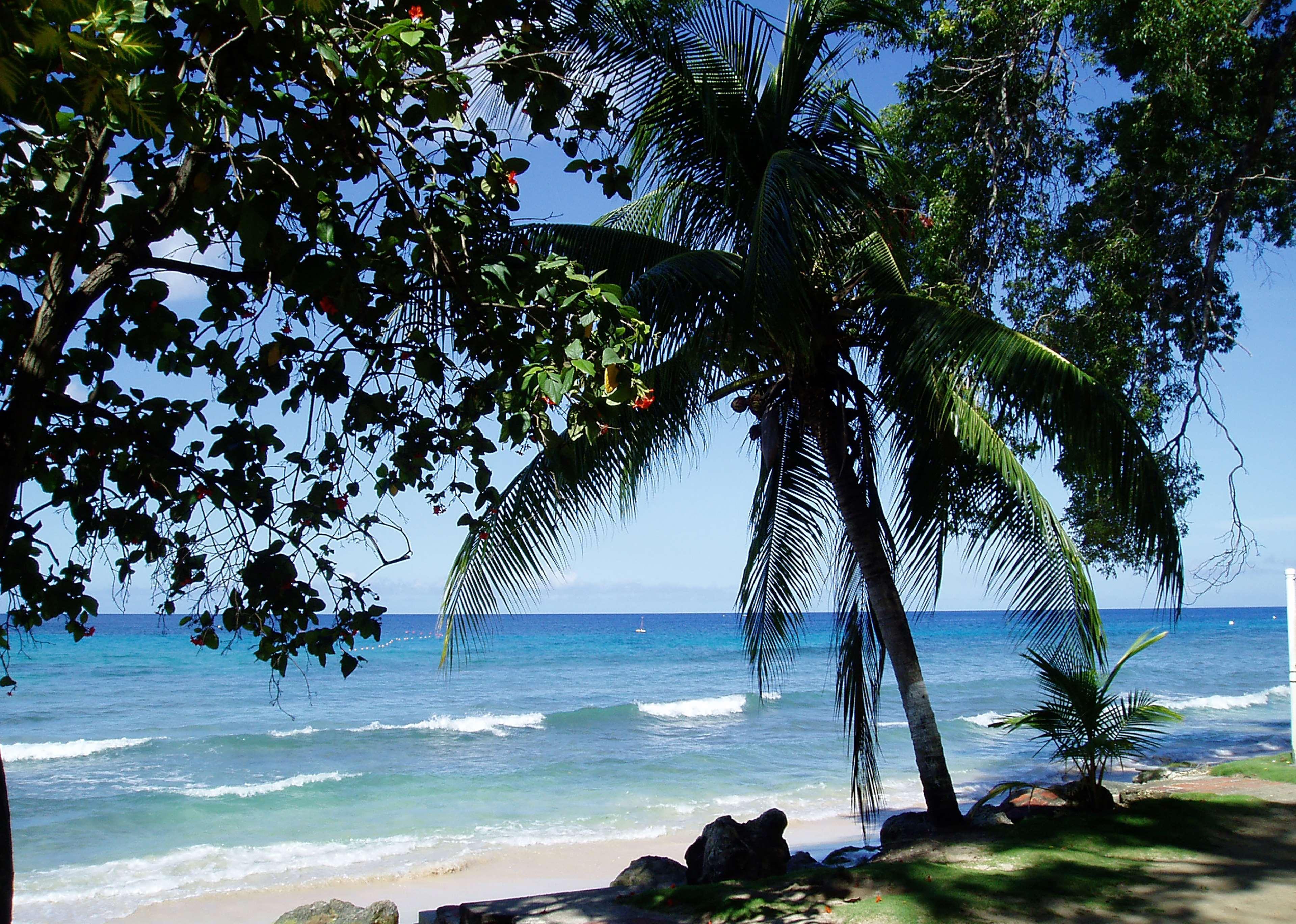 Divi Southwinds Beach Resort Christ Church Exterior photo